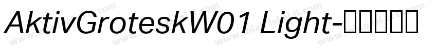 AktivGroteskW01 Light字体转换
